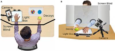 Is the Prosthetic Homologue Necessary for Embodiment?